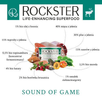 Rockster_Sound_of_Game_grafika_195g