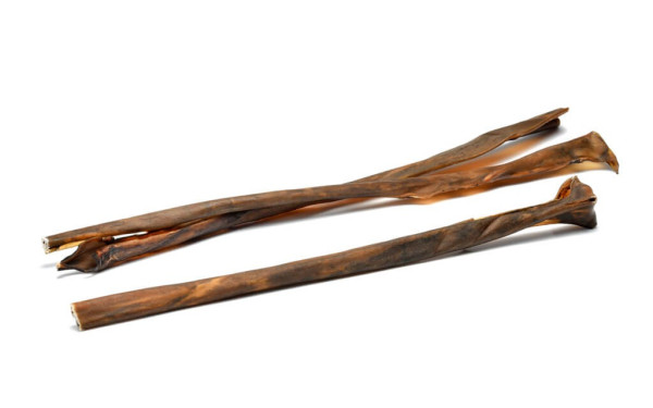 skora-jelenia-15cm